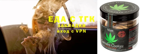 гашик Алексин