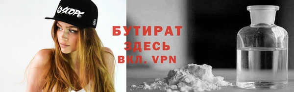 гашик Алексин