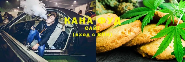 гашик Алексин
