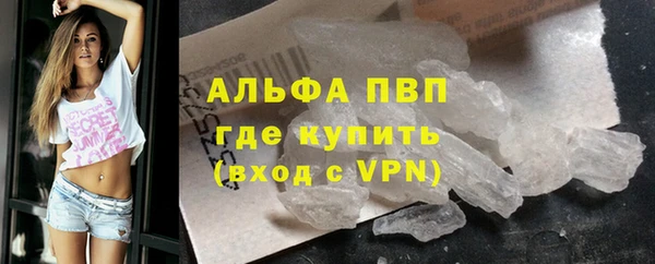 гашик Алексин